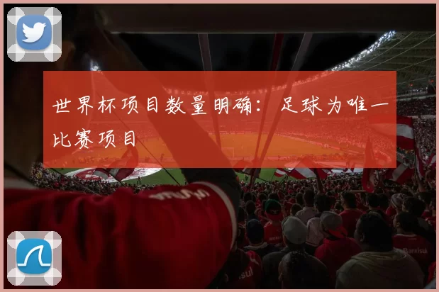 世界杯项目数量明确:足球为唯一比赛项目