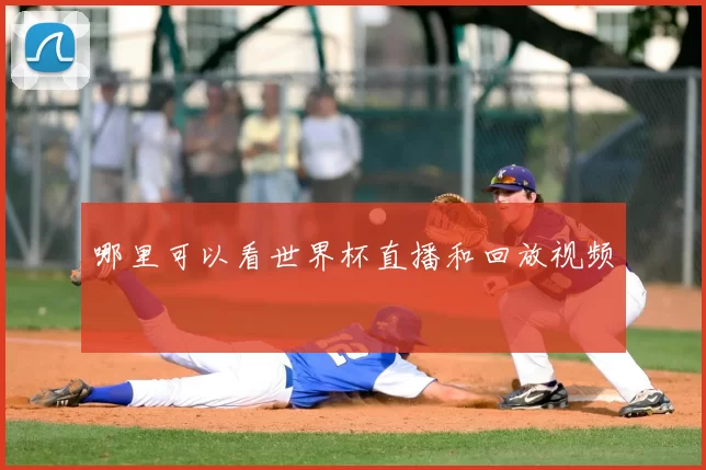 哪里可以看世界杯直播和回放视频