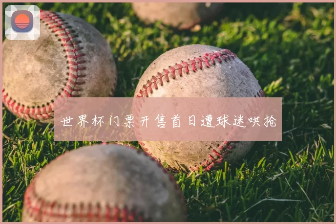 世界杯门票开售首日遭球迷哄抢