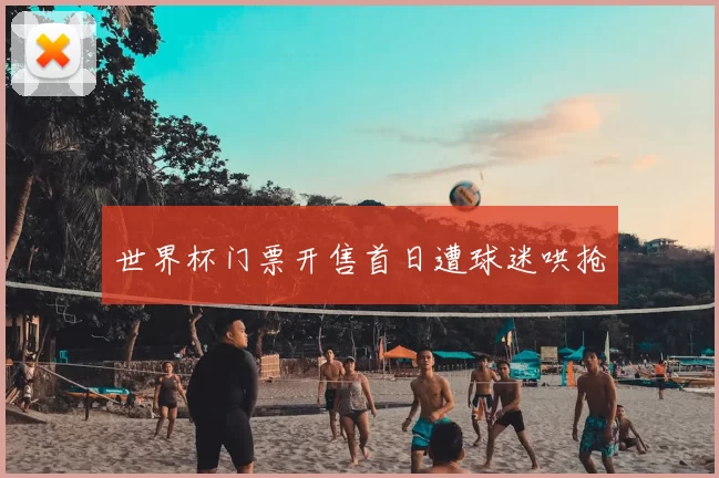 世界杯门票开售首日遭球迷哄抢