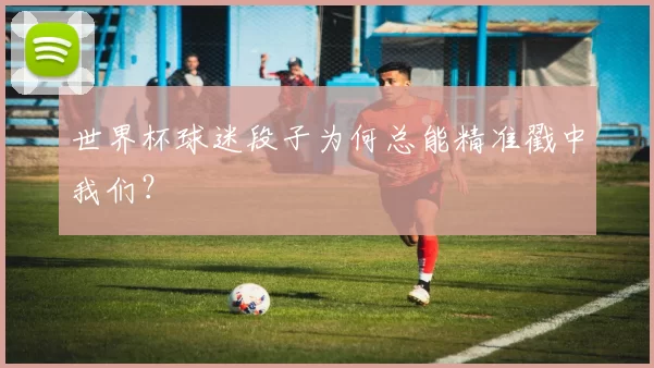 世界杯球迷段子为何总能精准戳中我们？