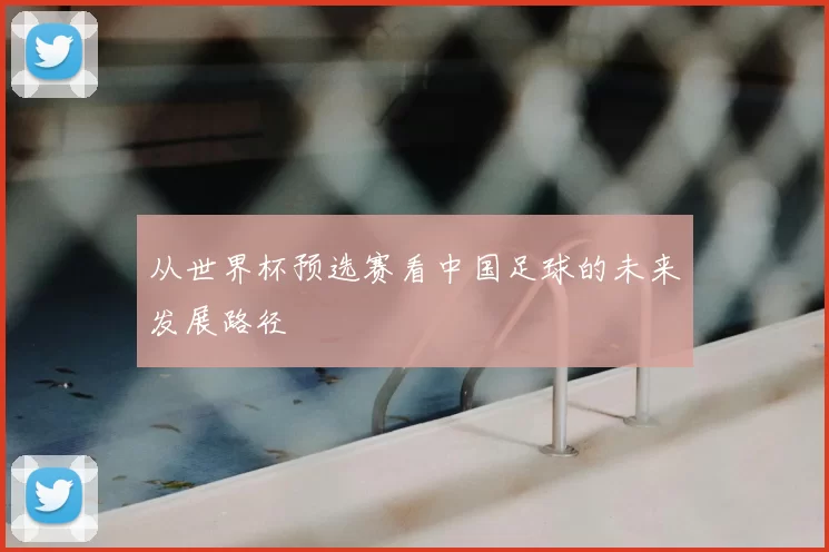 从世界杯预选赛看中国足球的未来发展路径