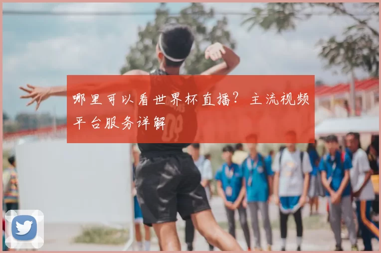 哪里可以看世界杯直播？主流视频平台服务详解