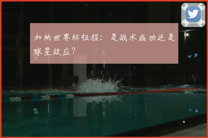 加纳世界杯征程:是战术成功还是球星效应?