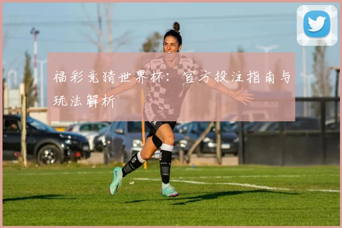 福彩竞猜世界杯:官方投注指南与玩法解析