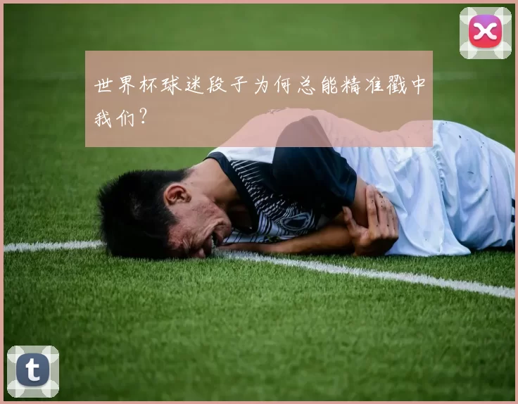 世界杯球迷段子为何总能精准戳中我们?