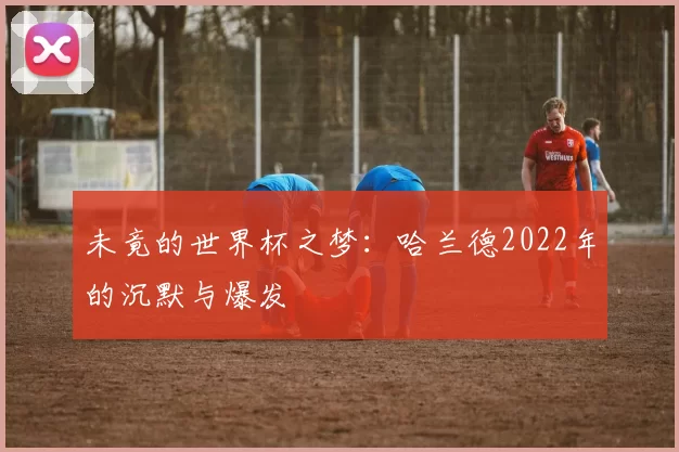 未竟的世界杯之梦:哈兰德2022年的沉默与爆发