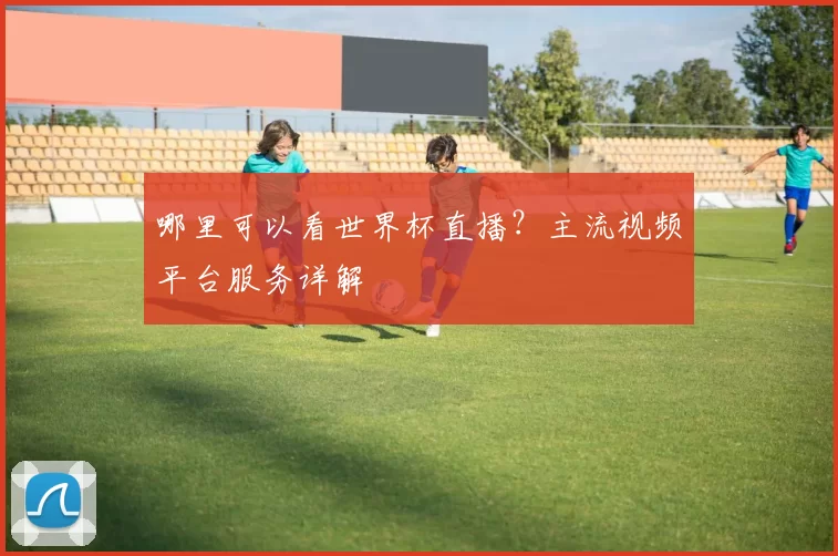 哪里可以看世界杯直播?主流视频平台服务详解